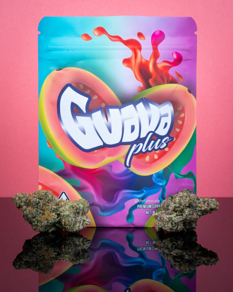 Guava