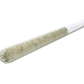 Dragon Fire Farms Gorilla Fritter 1G Pre Roll