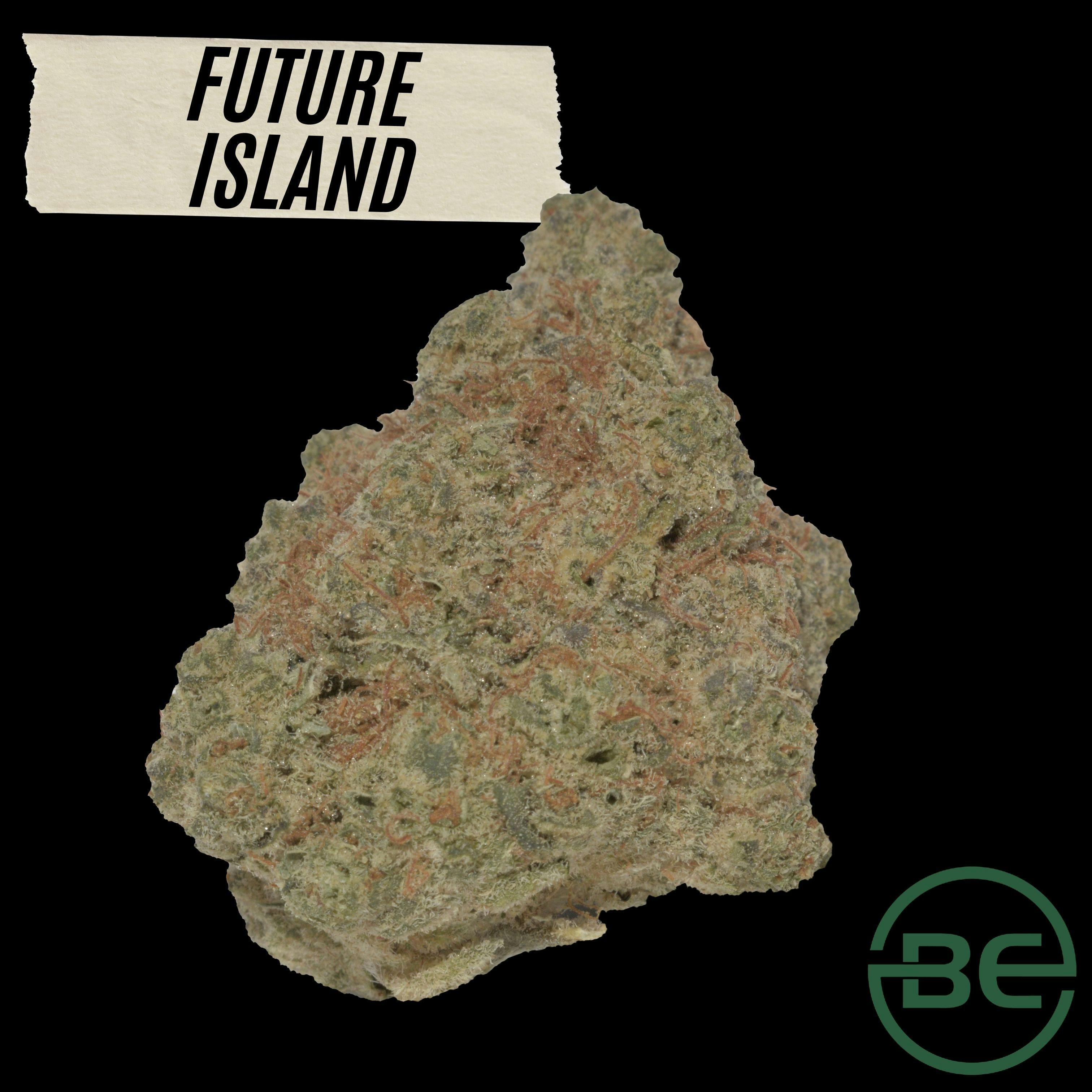 Be Cultivation Future Island