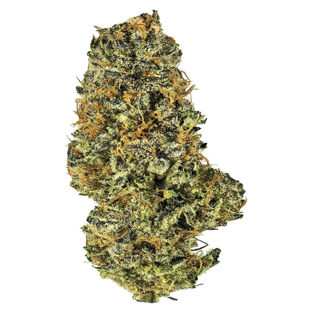 Mac and Cheese | Big Buds | 7g