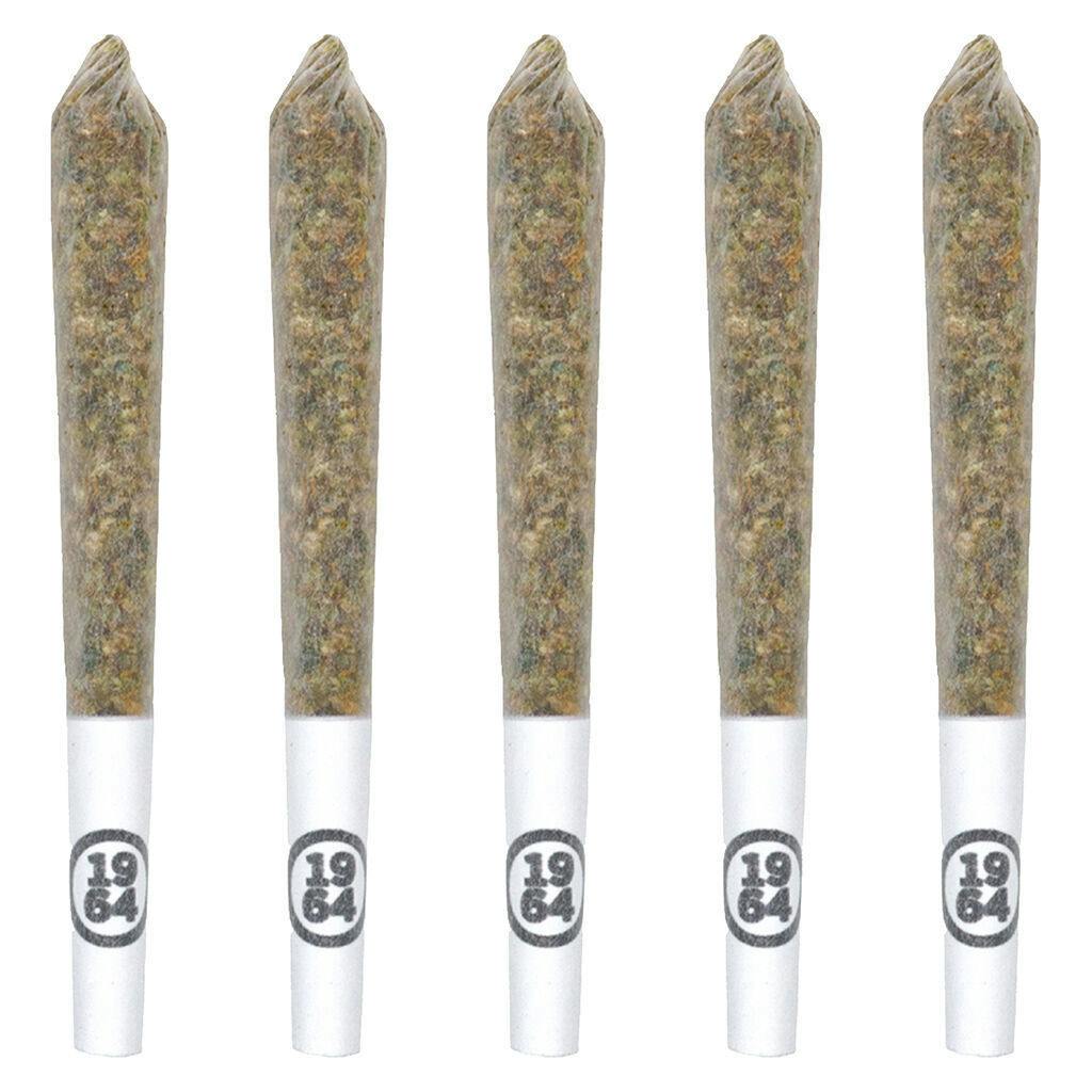 1964 | Blue Dream Pre-Roll | 14x