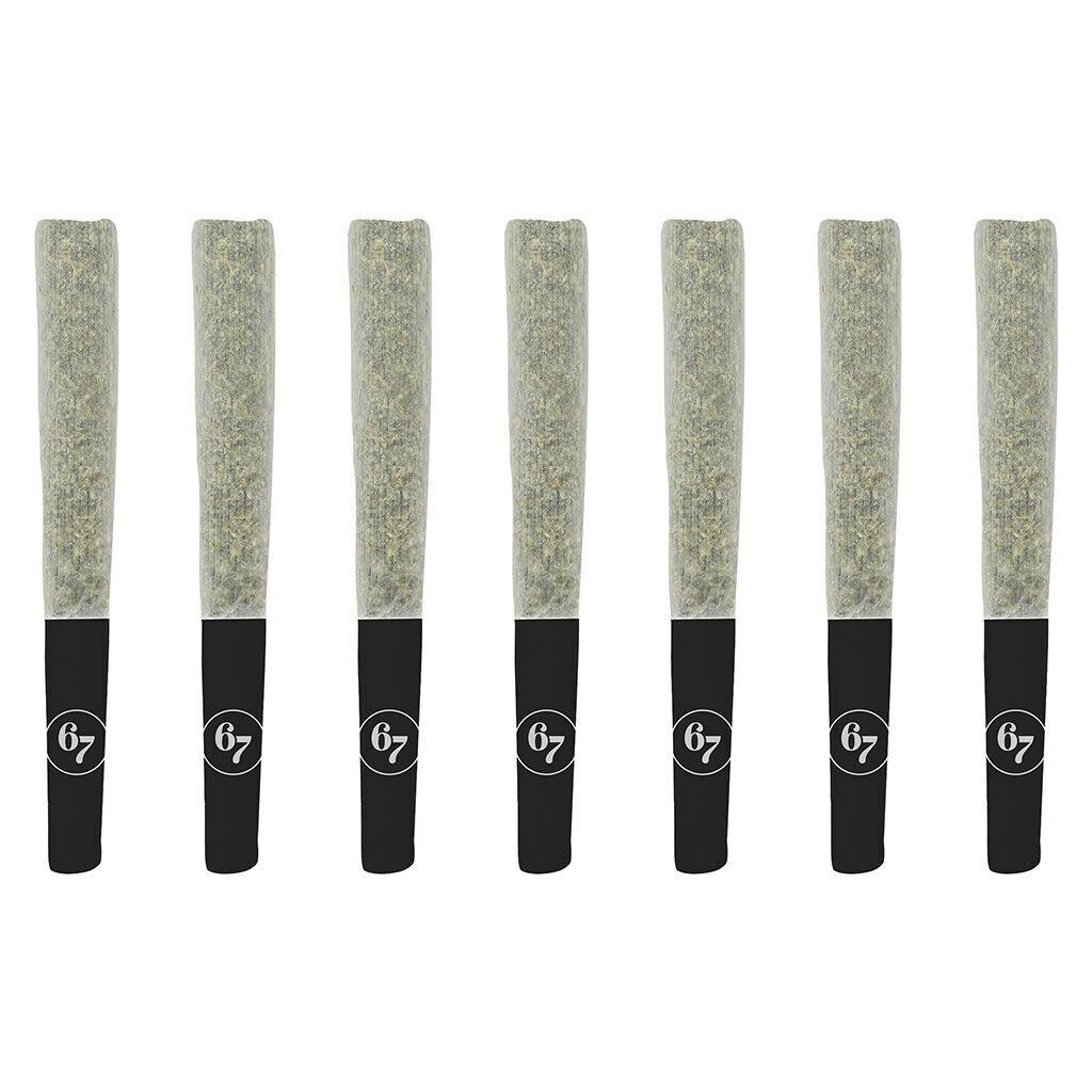 Fishy Fingers | Minis | 0.5g | 7pk