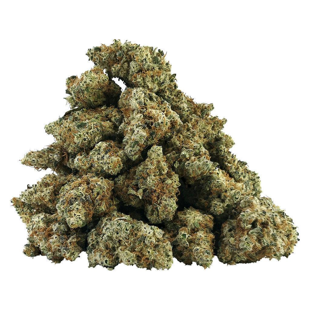 BC OZ | White Freezie