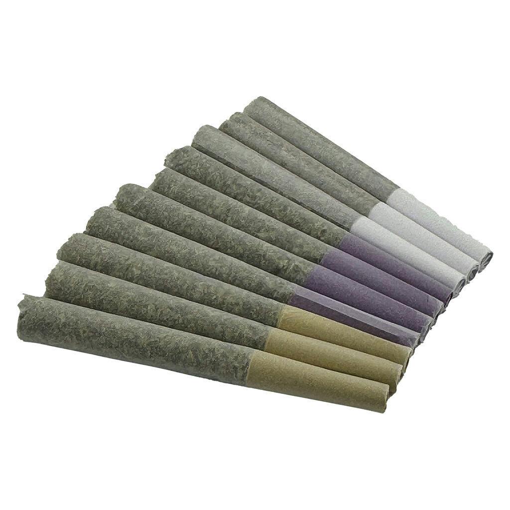 Dom Jackson | Gas Mask - Variety Pack Pre-Roll | 10x