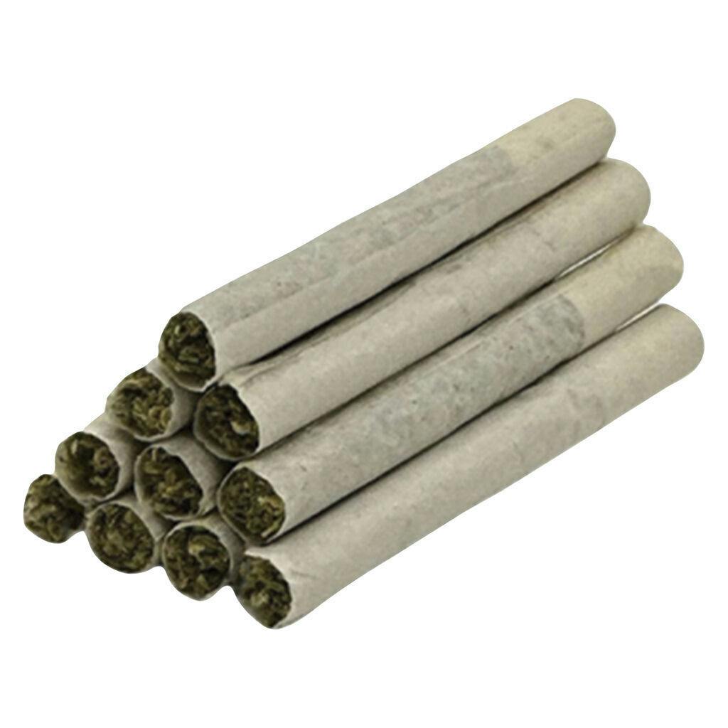 TRYGG | Series X Pre-Roll | 10x