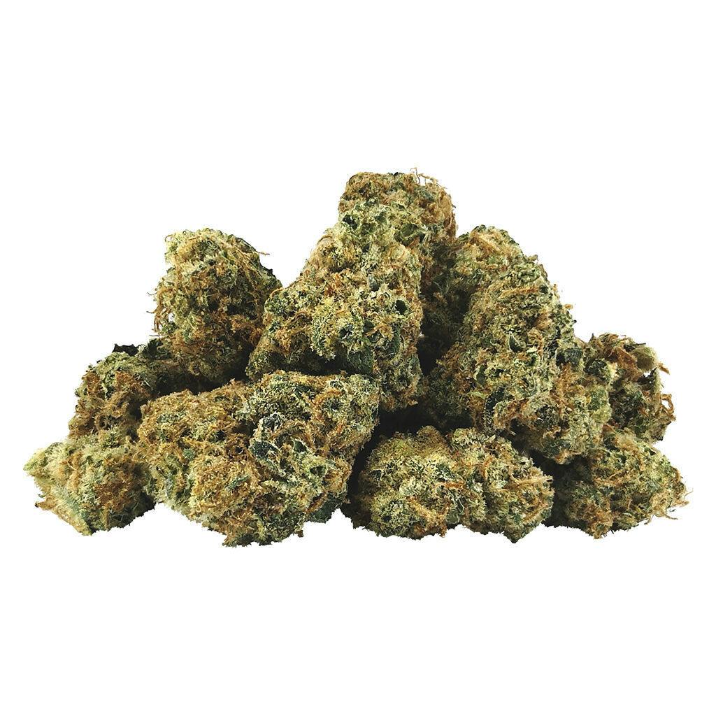 BC Smalls | Electric Lotus Smalls