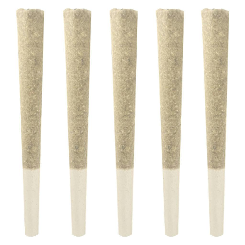 Dom Jackson | Gas Pack Pre-Roll | 5x