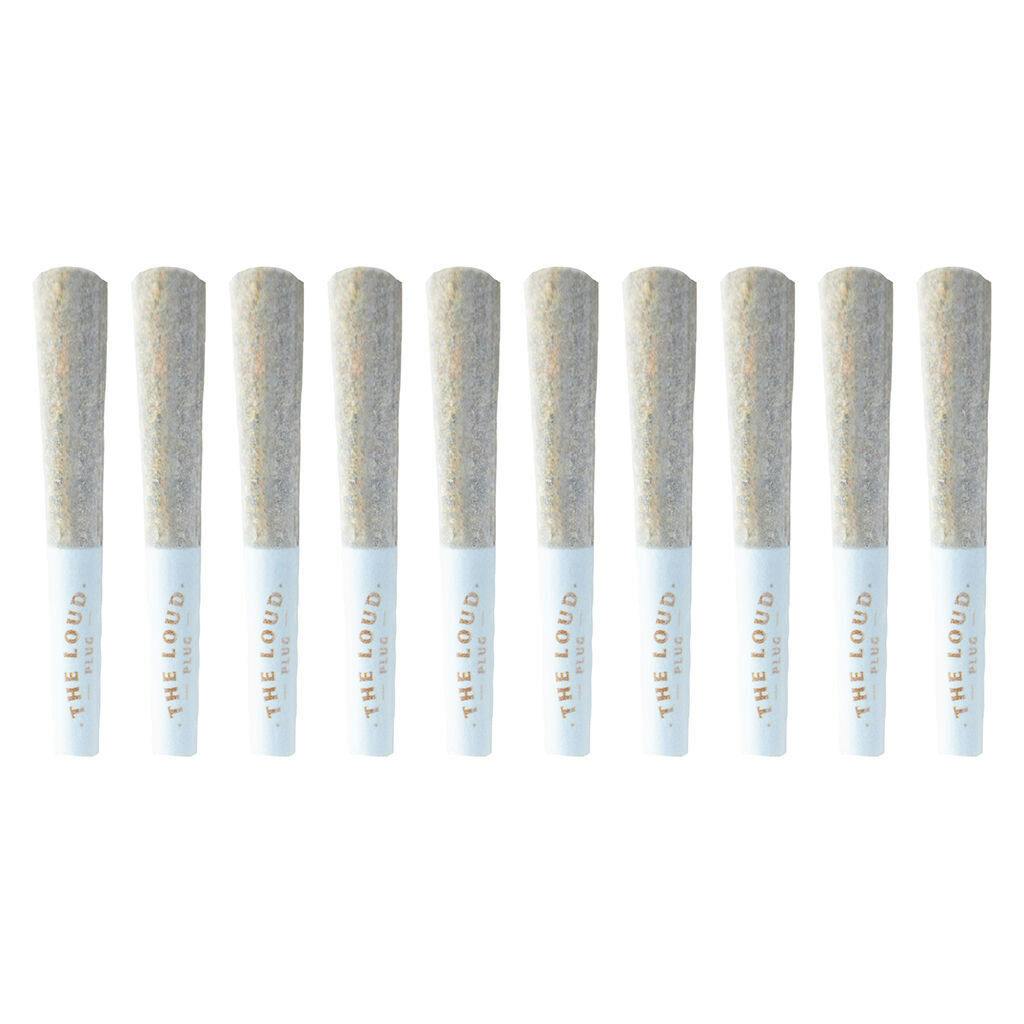 The Loud Plug | Exotic Gas Lg. Pack Pre-Roll | 10x