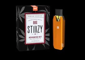 BIIIG ORANGE BATTERY