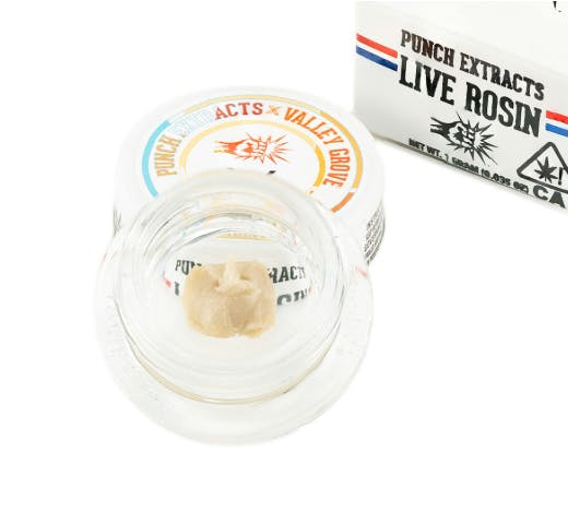 PUNCH EDIBLES & EXTRACTS: Ice Cream Scoby Tier 3 Cold Cure