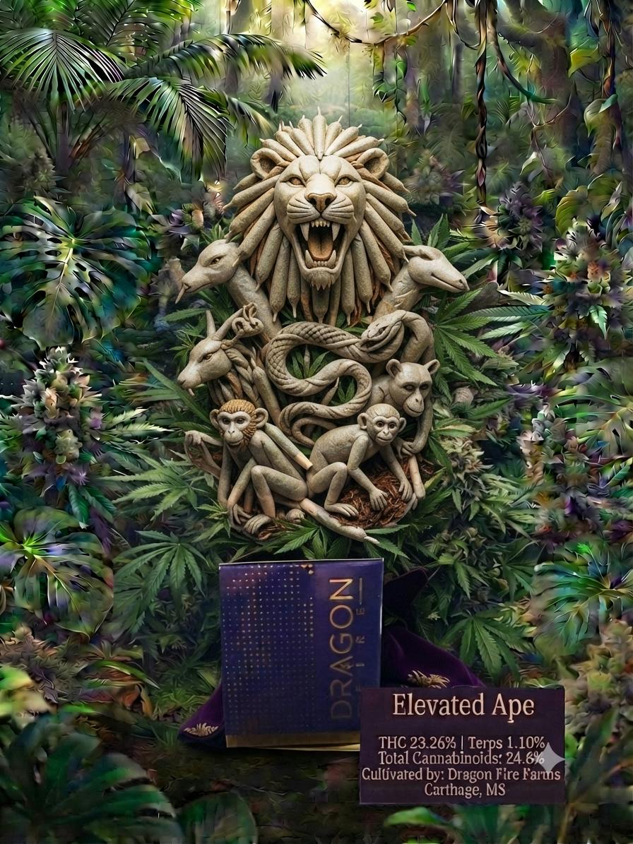 Dragon Fire Elevated Ape