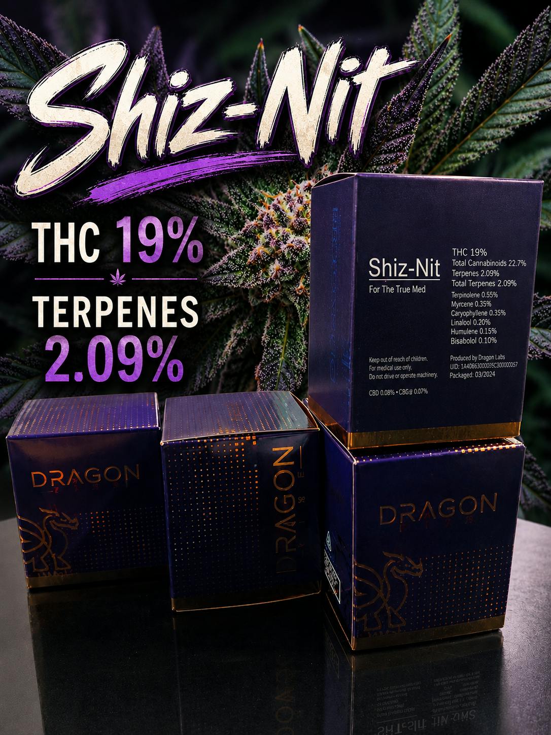Dragon Fire Shiz Nit