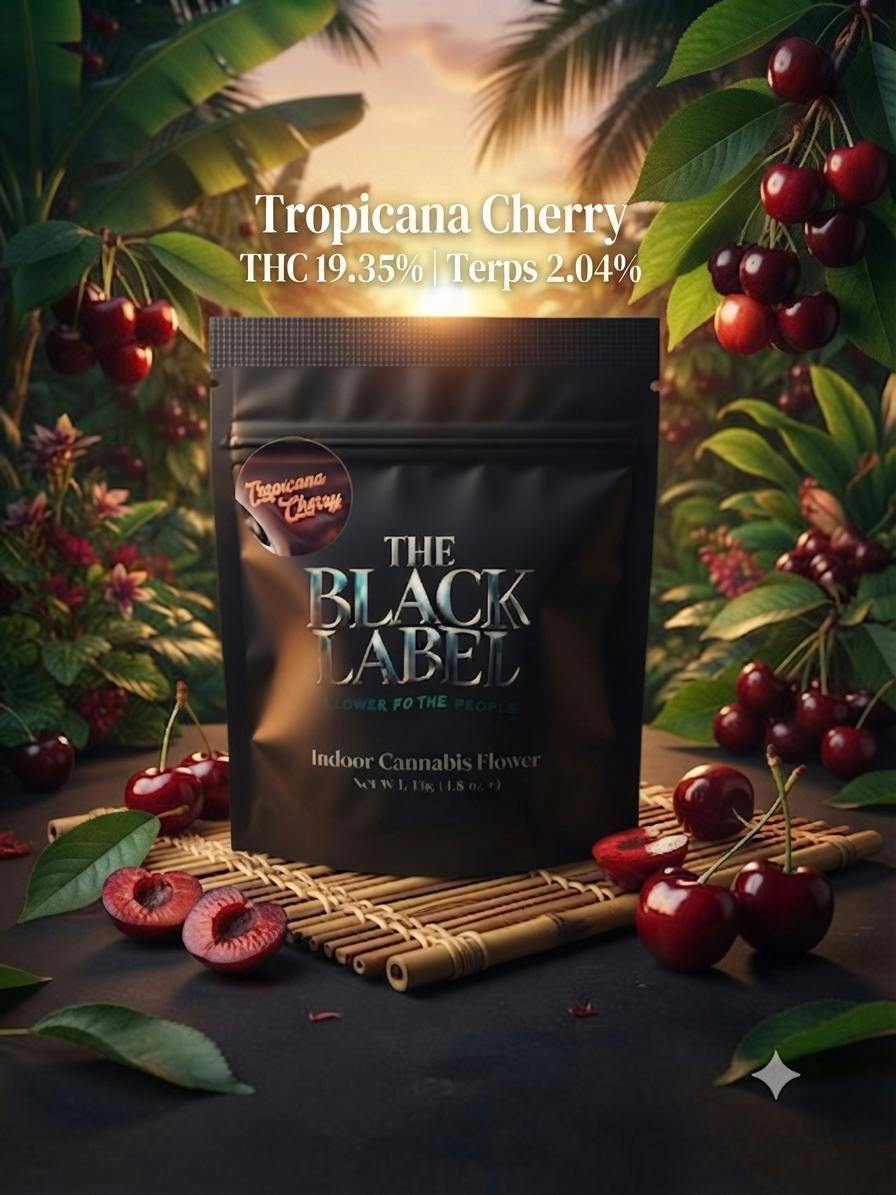 Big River | Tropicana Cherry | 3.5g at House of Buds