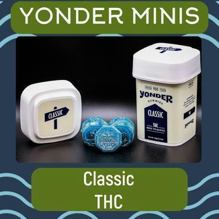 Yonder | Classic Wildberry Mini Gummies | 100mg at House of Buds