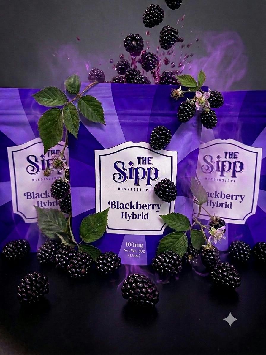 The Sipp | Blackberry Hybrid Gummies | 100mg at House of Buds