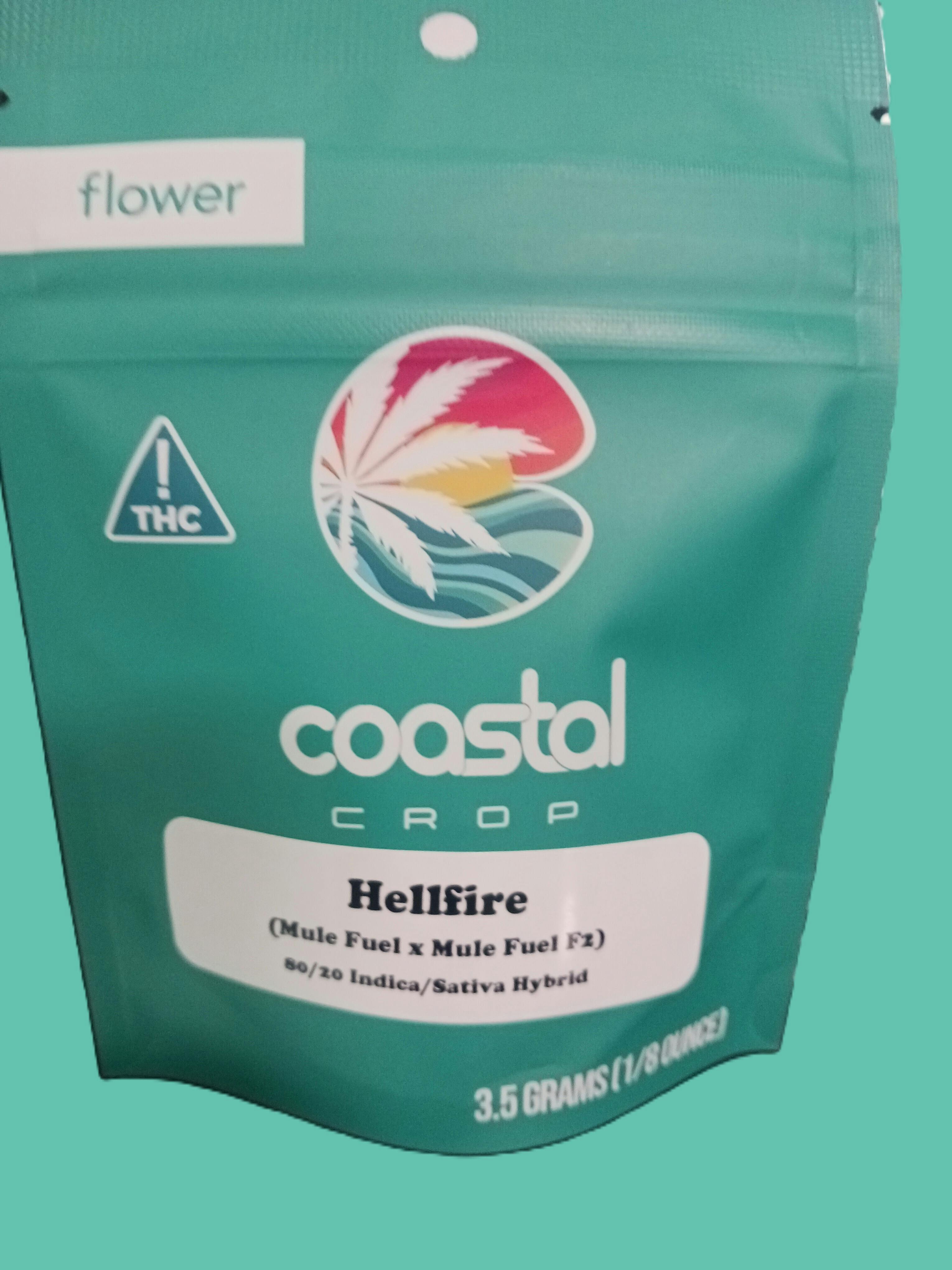 Coastal Crop | Hellfire | 3.5g