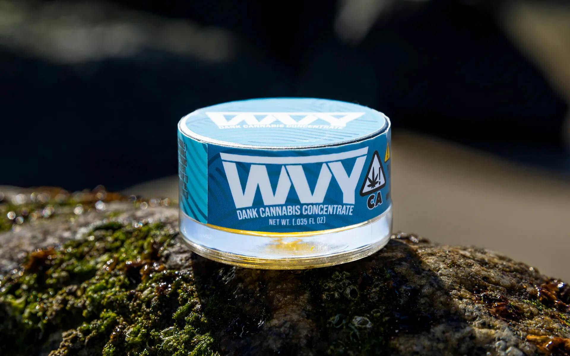 WVY - 1G SAUCE - JACK SPRITZER