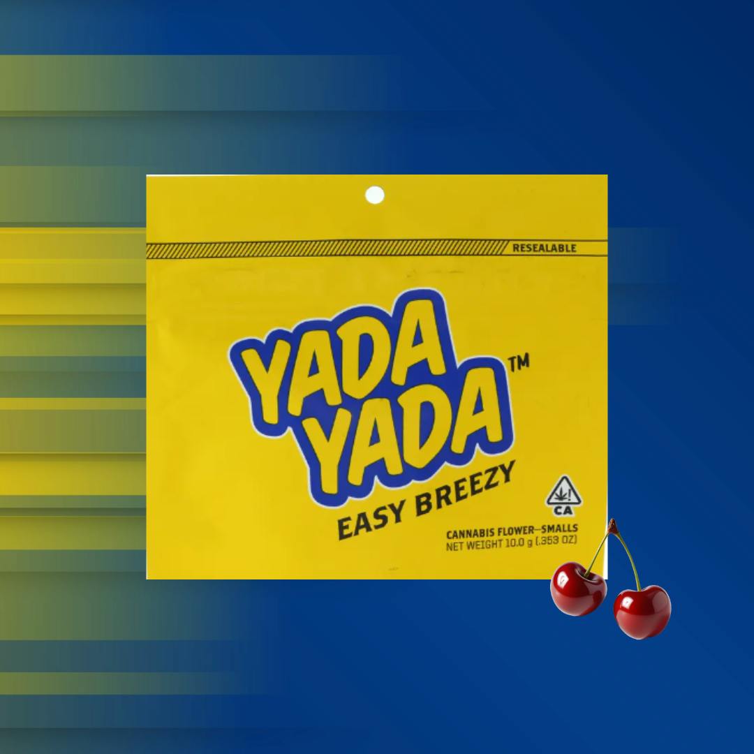 YADA YADA - 10G - GUSH MINTS