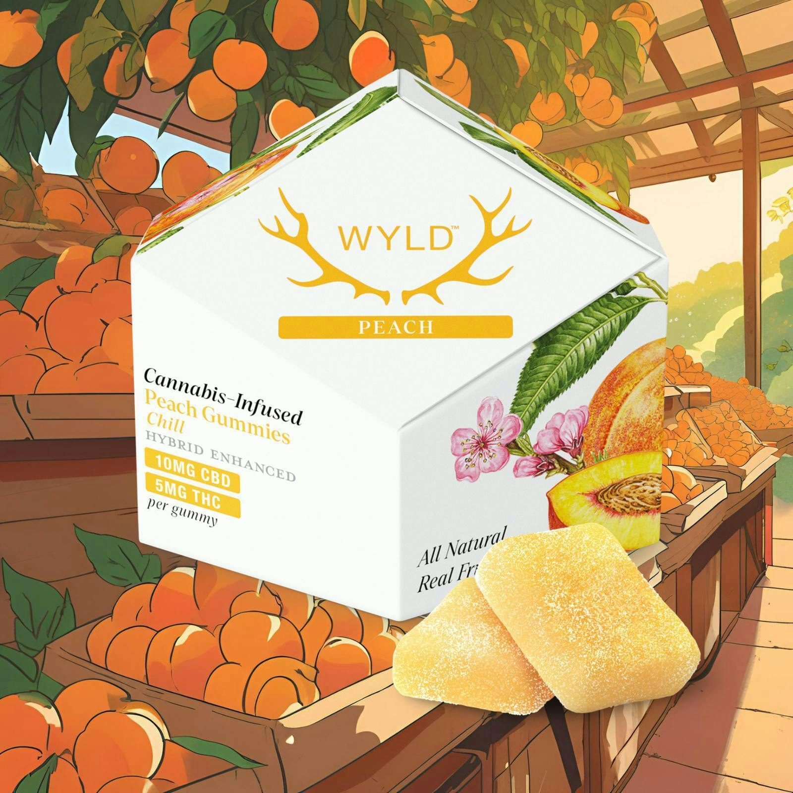 WYLD -: 1:1 CBD/THC: PEACH