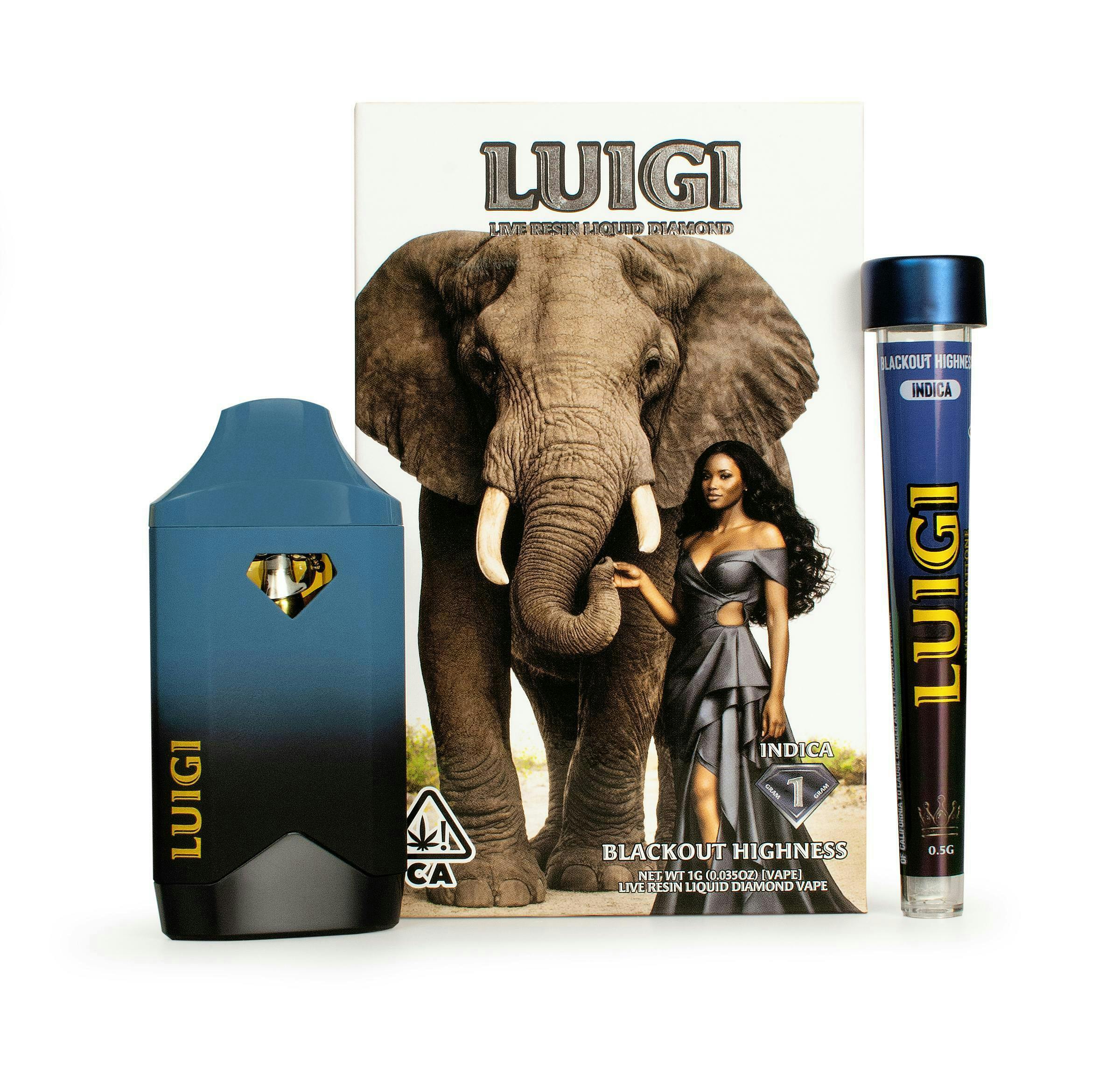 Luigi: Blackout Highness