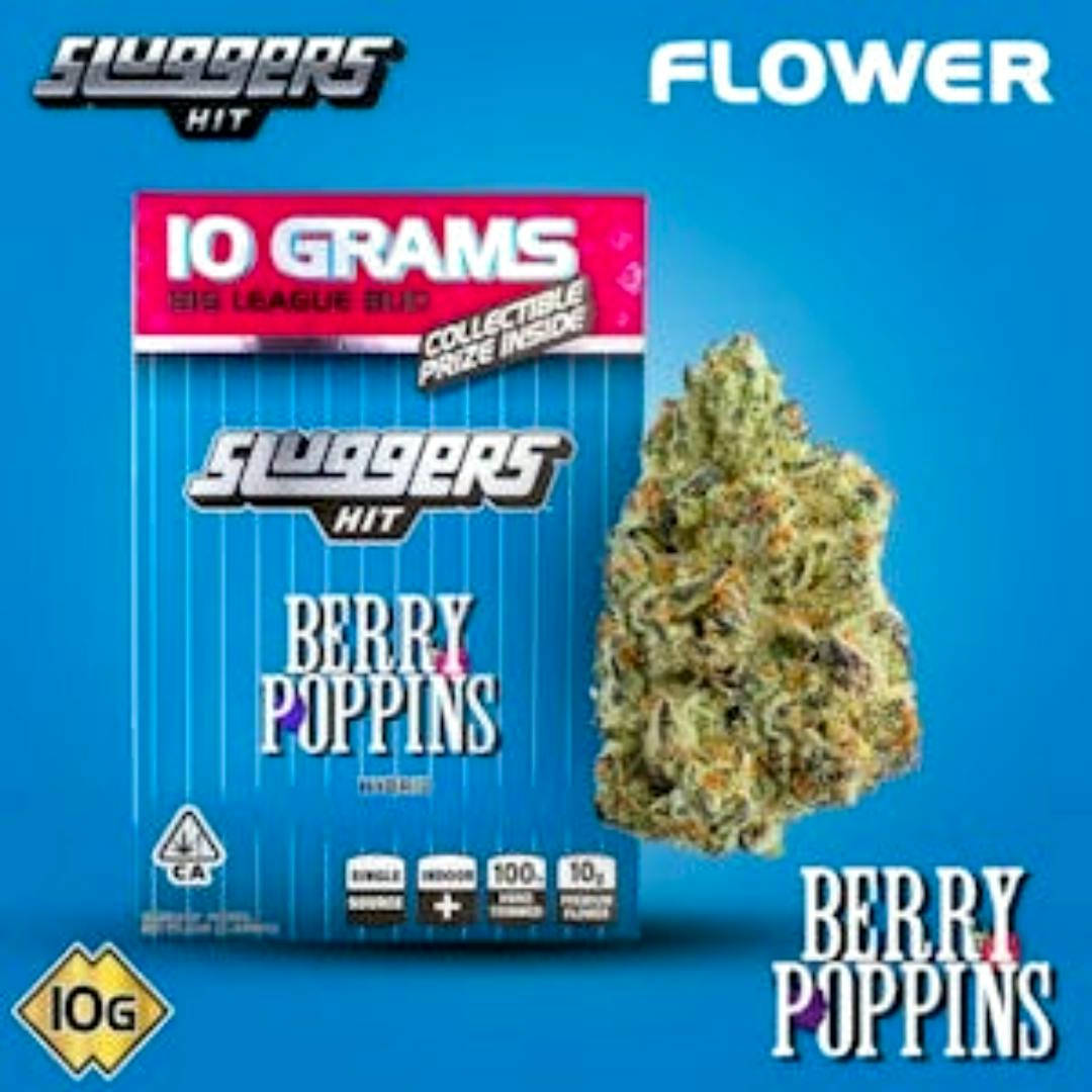 Sluggers: Berry Poppins