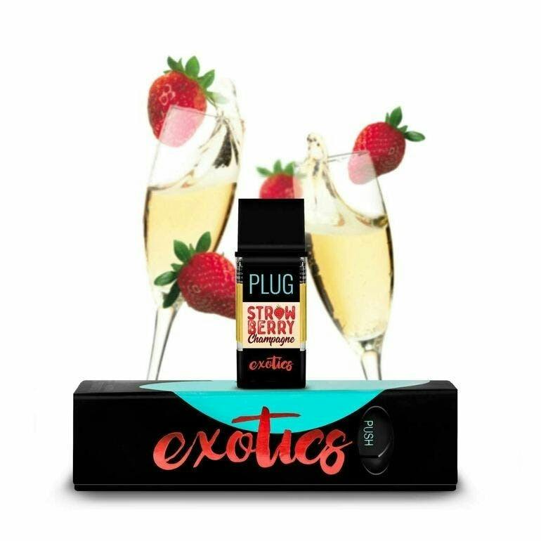 PlugPlay: Strawberry Champagne
