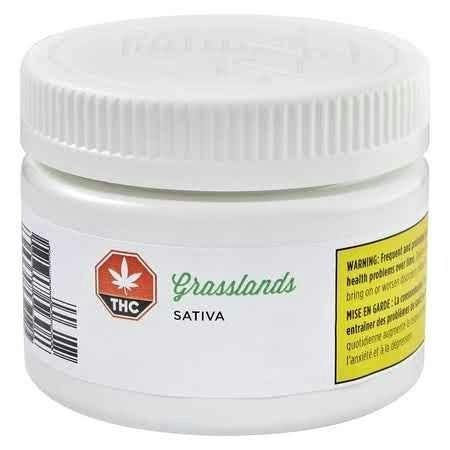 Sativa