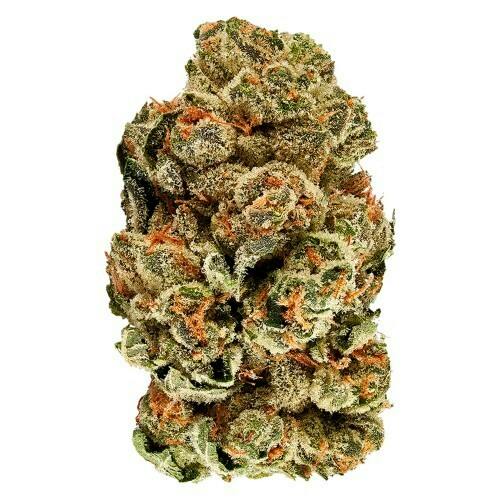 Kush Cookies | 1g