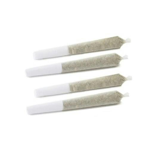 Freedom X Showcase Series | Minis | 0.5g | 4pk