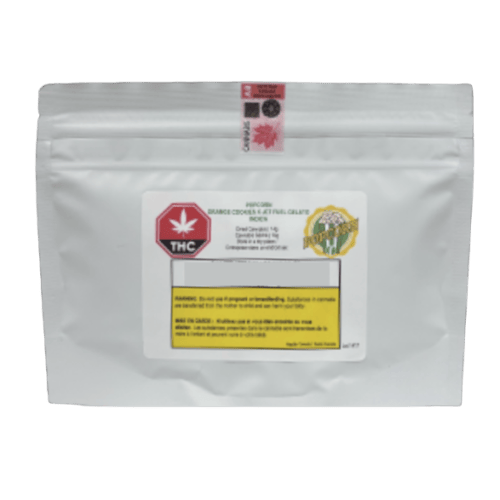Rotating Strain Indica | Smalls | 7g