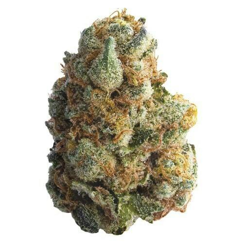 Spinach | GMO Cookies | Big Buds | 14g