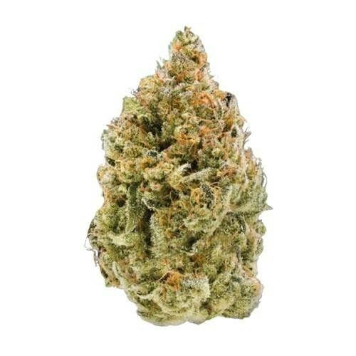 Fruit Loopz | Big Buds | 3.5g