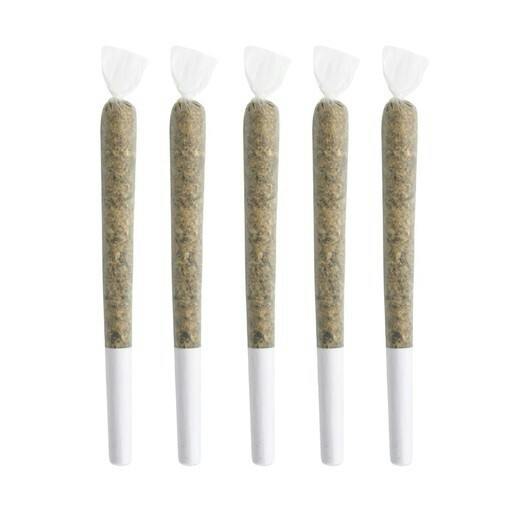 The Adventurer | Minis | 0.5g | 5pk