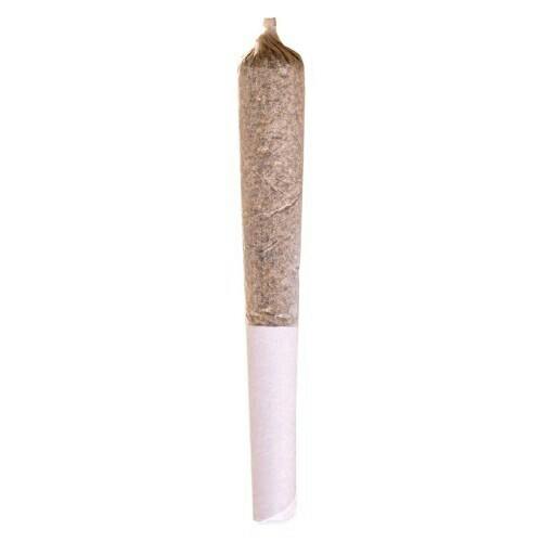 Station House - Jack Herer Pre-Roll - 1x0.5g