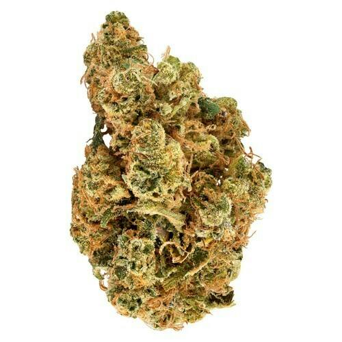 GMO X | Big Buds | 28g