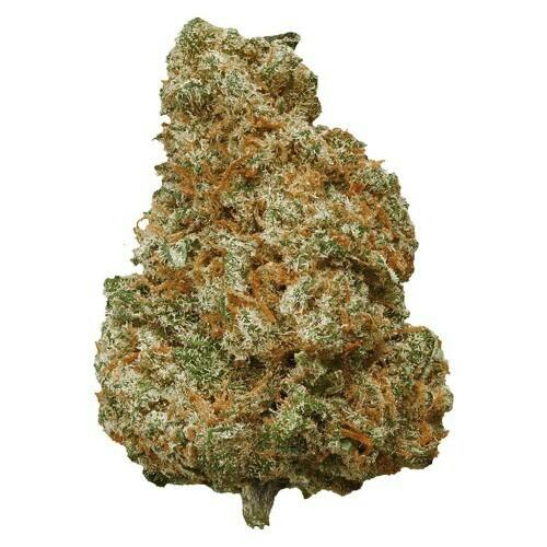 Mango Dream | Big Buds | 7g
