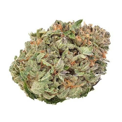 Comatose, 3.5g