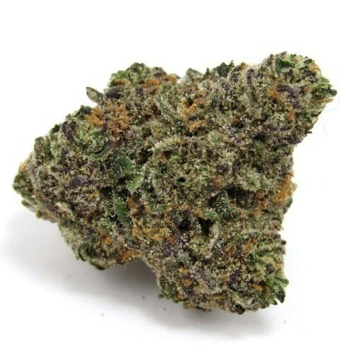 GastroPop | Buds | 28g
