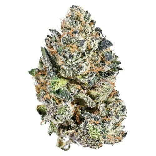 Indica-14g