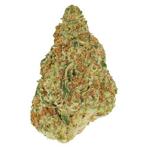 Winter Frost | Flower | 7g