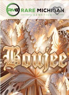 Boujee | Big Buds | 3.5g