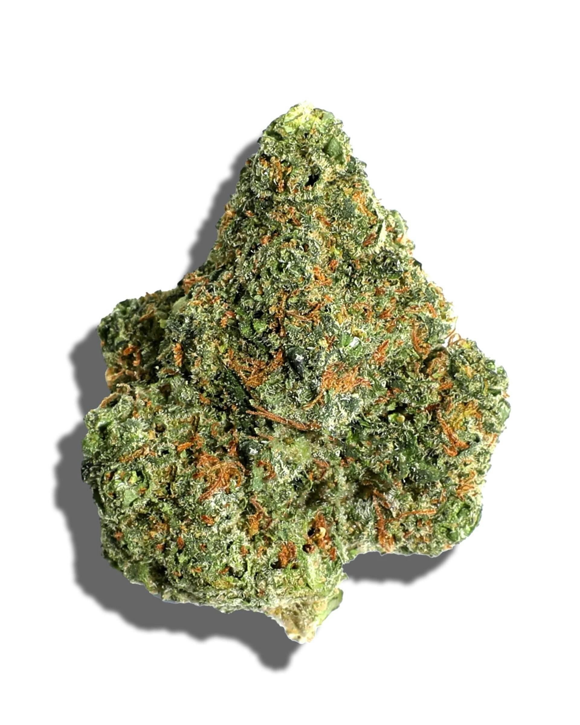 GATSBY CANNABIS CO. | GOTTI | PRE-PACK | 1OZ | HYBRID