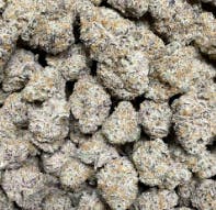 FREE REFILLS #4 | 28g