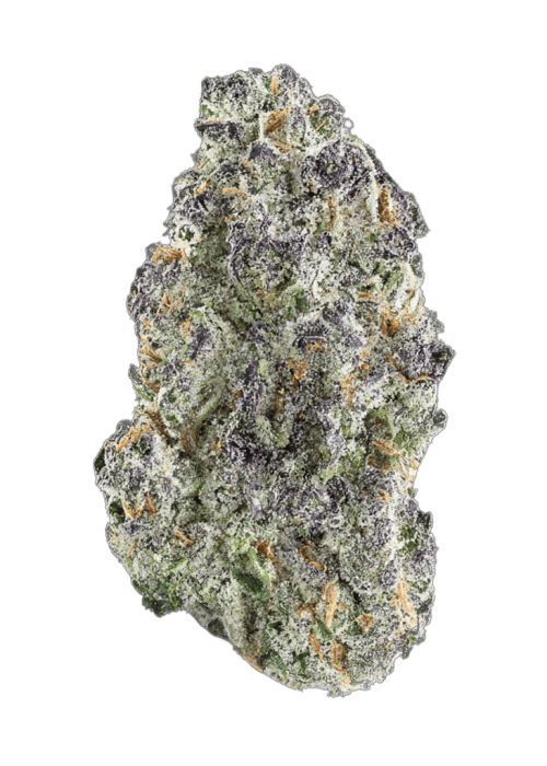 Category 5 | Big Buds