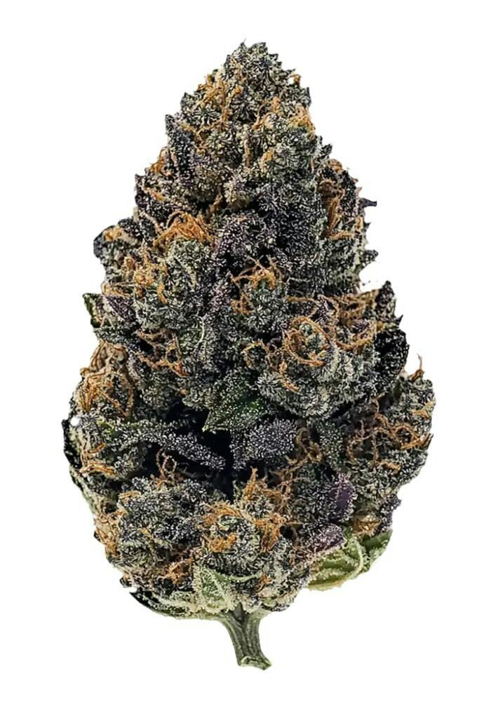 GANS | HOOD CANDY | BULK | HYBRID