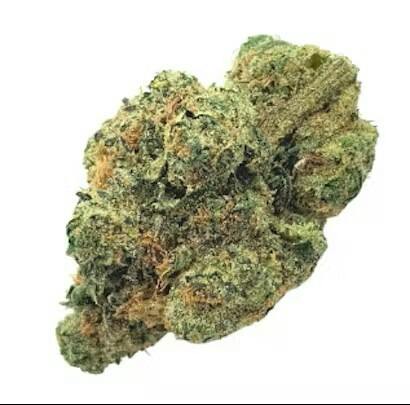 COMMON CITIZEN | MORNING DIESEL | BULK | SATIVA
