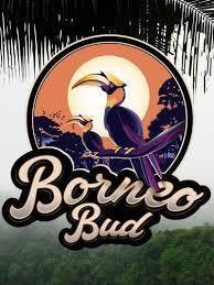 BORNEO BUD | IPA | 1G P.ROLL | HYBRID
