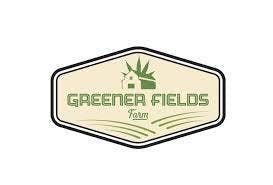 GREENER FIELDS FARM | CHERRY PIE | 100MG | INDICA