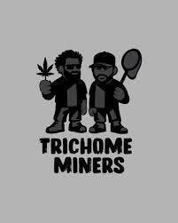Trichome Miners - TallyMon Live Rosin (Tier 2) 1G