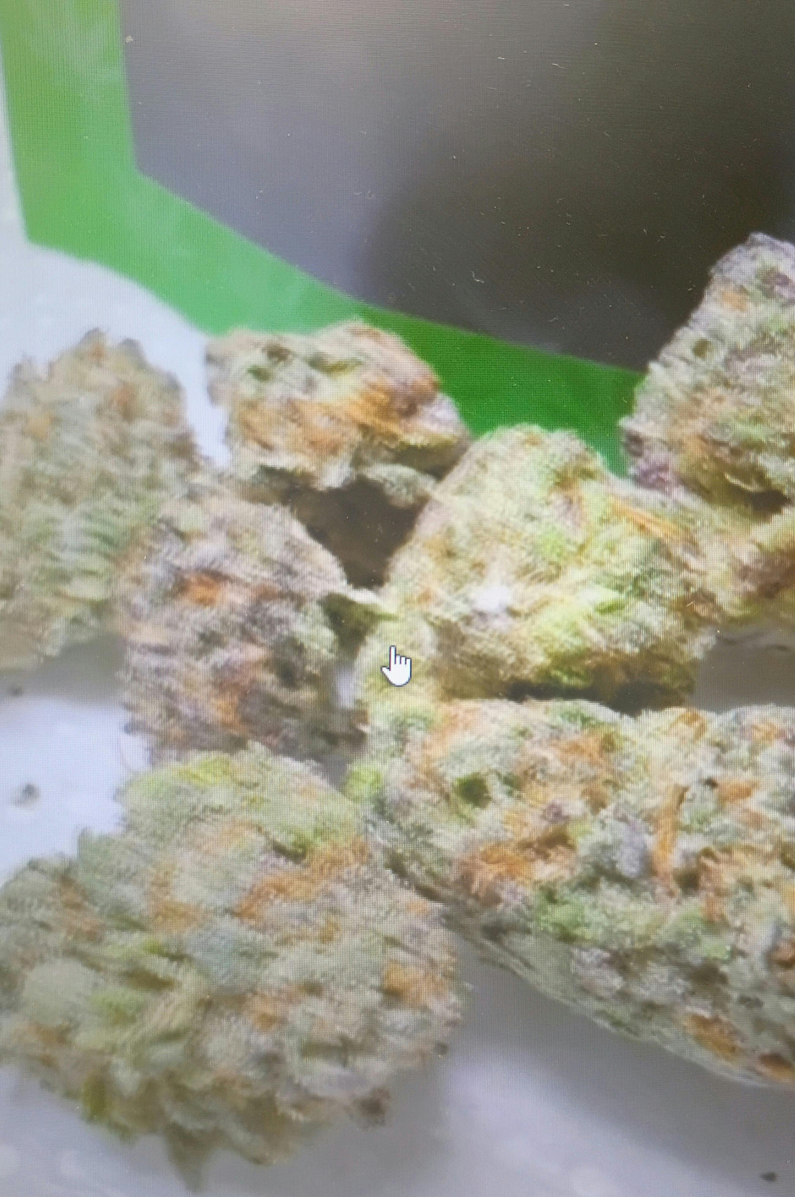 Levotic | 3.5gr | Papayamosa by LEVOTIC